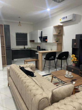 2 Bedroom Semi- Luxury Apartment in Achimota